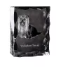 Yorkshire Terrier, Yorkie - crystal with a picture of a dog, glass statuette with a picture, unique frame with a picture from Art-Dog brand