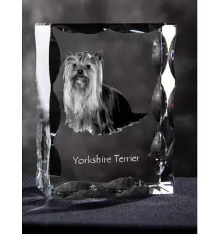 Yorkshire Terrier - Kristall mit einem Hundebild, Glasstatuette mit einem Bild, einzigartiger Bilderrahmen der Marke Art-Dog