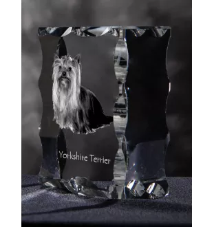 Yorkshire Terrier - Kristall mit einem Hundebild, Glasstatuette mit einem Bild, einzigartiger Bilderrahmen der Marke Art-Dog