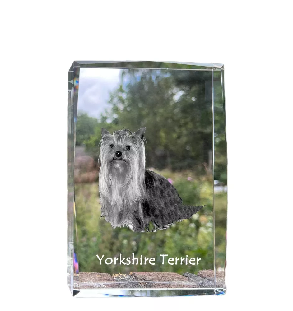 Yorkshire Terrier kryształ z psem Art-Dog