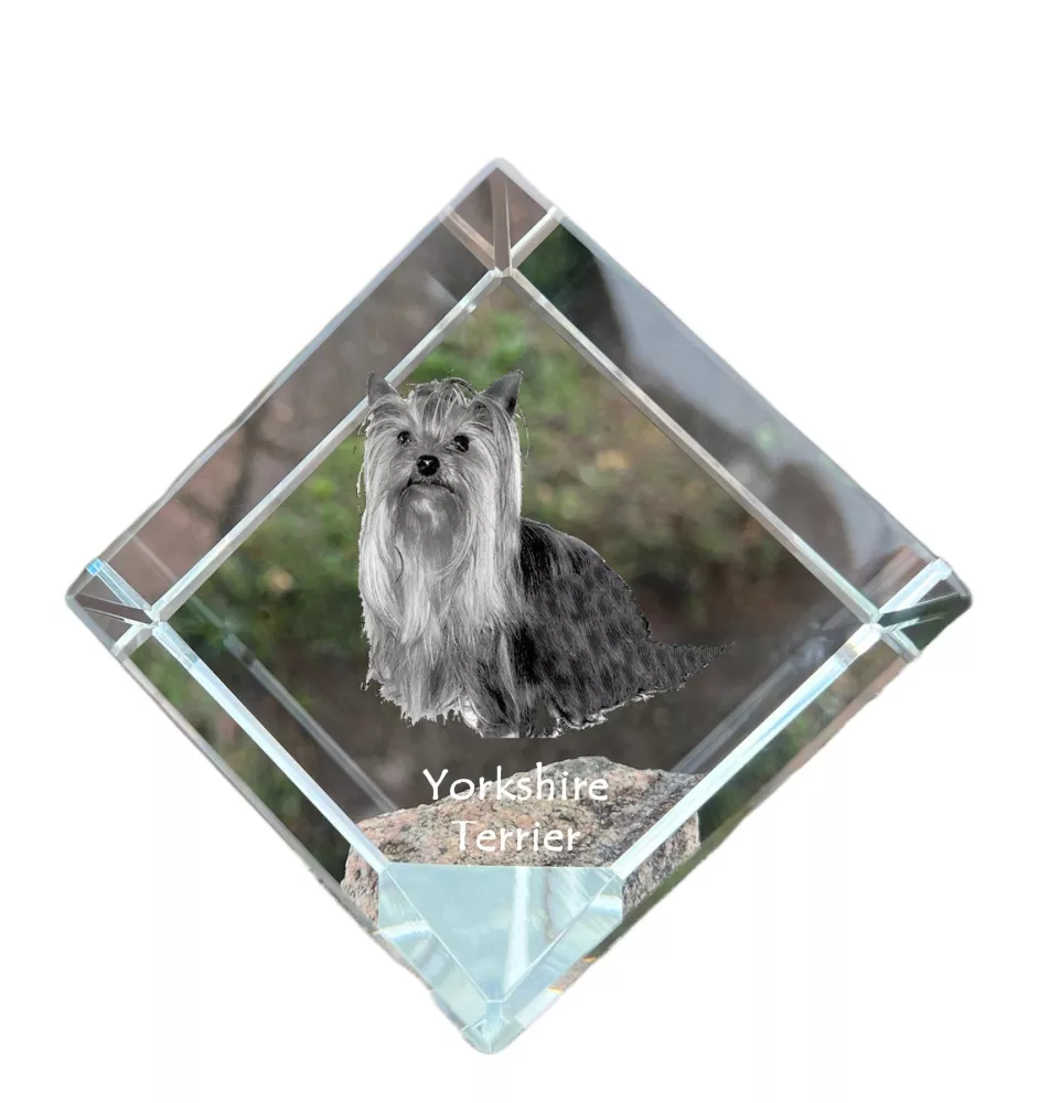 Yorkshire Terrier, Yorkie - crystal cube with a photo, photo of a horse in crystal, cubic paperweight from Art-Dog brand