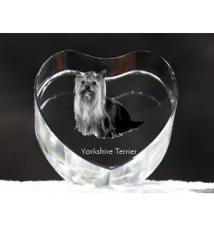 Yorkshire Terrier, Terrier Du Yorkshire, York - une photo de chien dans un cristal, un cœur en cristal, un cadre photo exceptionnel de la marque Art-Dog