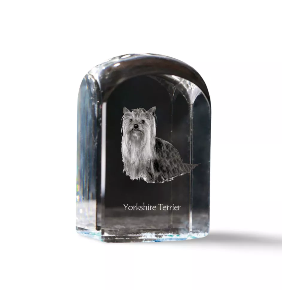 Yorkshire Terrier - Kristallwürfel mit Bild, Hundebild im Kristall, sechseckiger Papierclip von Art-Dog.