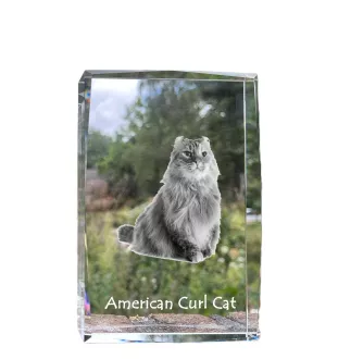American Curl Katze - Kristall mit einem Katzenbild, Bild im Glas, moderne Ausstellung des Art-Dog-Fotos.