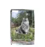 Chat à boucles américaines - cristal avec une photo de chat, photo sous verre, exposition moderne de la marque de photos Art-Dog