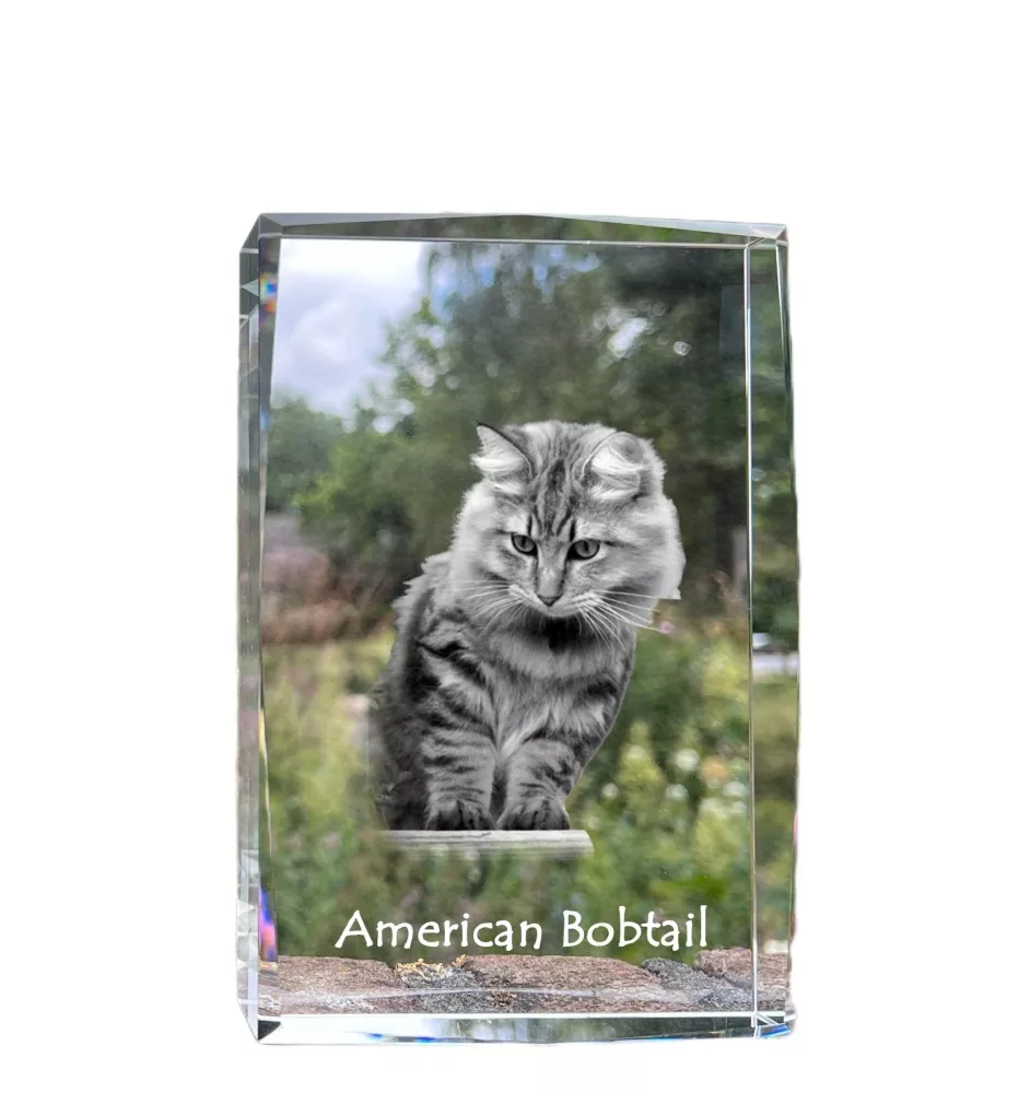Amerikanisch Bobtail - Kristall mit einem Katzenbild, Bild im Glas, moderne Ausstellung des Art-Dog-Fotos.