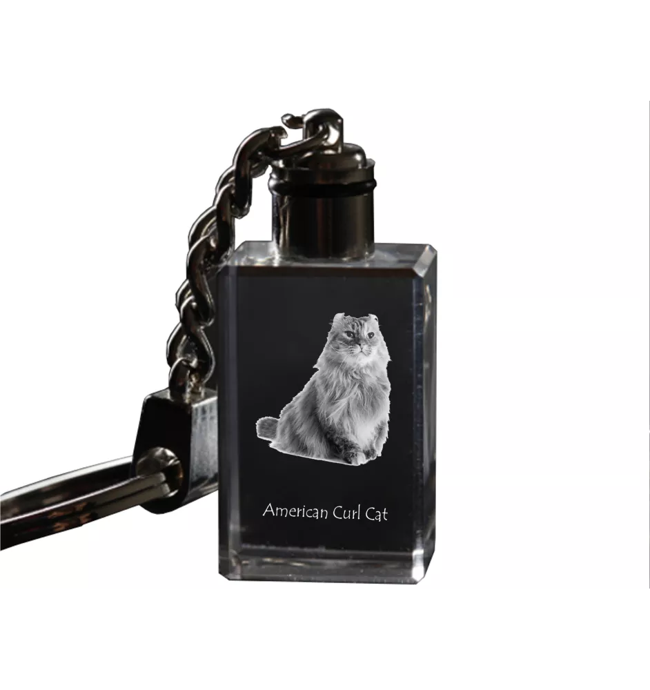 American Curl - Pendentif en cristal avec photo de chat, pendentif lumineux, cadeau unique de la marque Art-Dog