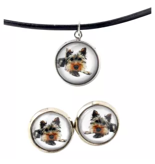 Yorkshire Terrier - Schmuck mit Ihrem Foto-Box, Halskette und Ohrringe-Set, personalisierte Produkte der Marke Art-Dog.