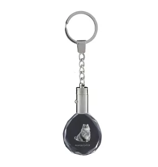 Chat à boucles américaines - Fob with cat photo, crystal key ring in gift box, unique gift by Art-Dog brand