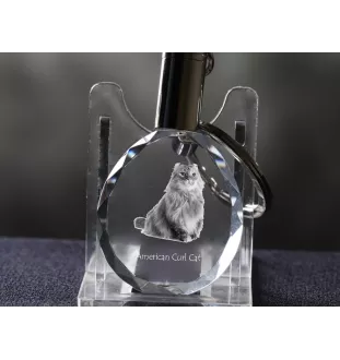 Chat à boucles américaines - Fob with cat photo, crystal key ring in gift box, unique gift by Art-Dog brand