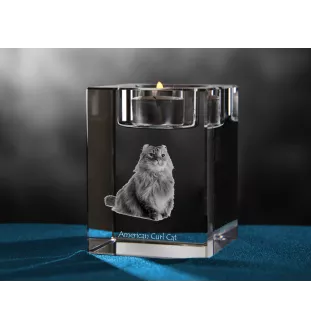 Amerikanisch Lockig - Kerzenhalter mit Katzenfoto, Teelichthalter aus Kristall, personalisiertes Geschenk der Marke Art-Dog