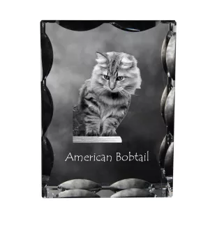 Bobtail américain - cristal avec une photo de chat, une statuette en verre avec une photo, un cadre exceptionnel avec une photo de la marque Art-Dog