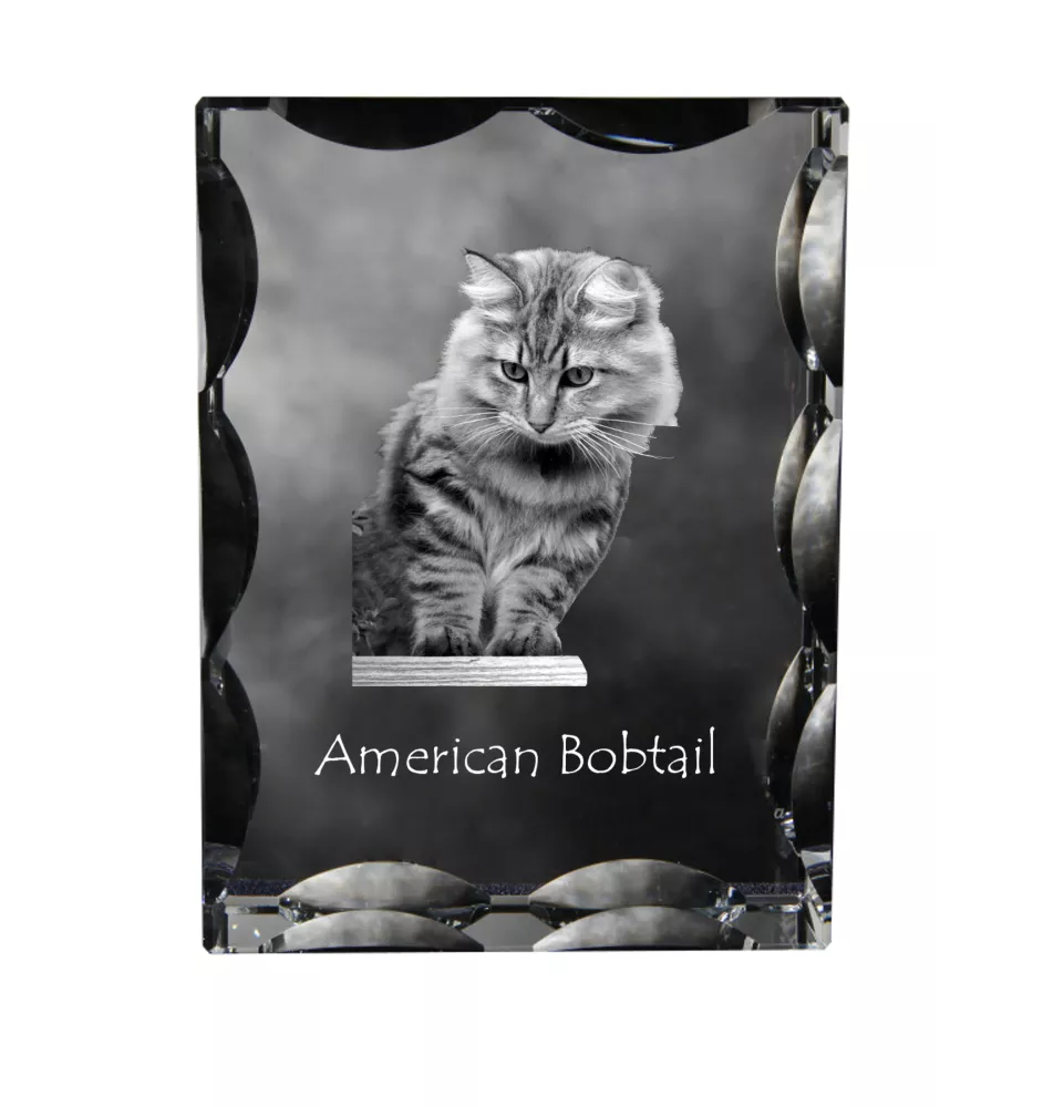 Amerikanisch Bobtail - Kristall mit Katzenbild, Glasstatuette mit Bild, einzigartiger Bilderrahmen der Marke Art-Dog