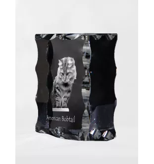 Bobtail américain - cristal avec une photo de chat, une statuette en verre avec une photo, un cadre exceptionnel avec une photo de la marque Art-Dog