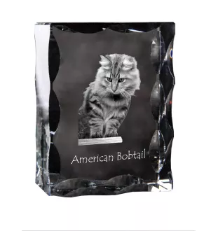 Amerikanisch Bobtail - Kristall mit Katzenbild, Glasstatuette mit Bild, einzigartiger Bilderrahmen der Marke Art-Dog