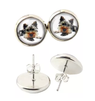 Yorkshire Terrier, Yorkie - earrings in a box, your photo, handmade jewelry, a product of the Art-Dog brand