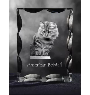 Amerikanisch Bobtail - Kristall mit Katzenbild, Glasstatuette mit Bild, einzigartiger Bilderrahmen der Marke Art-Dog