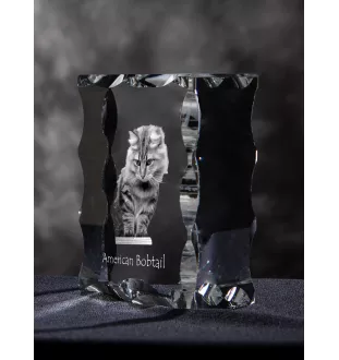 Amerikanisch Bobtail - Kristall mit Katzenbild, Glasstatuette mit Bild, einzigartiger Bilderrahmen der Marke Art-Dog
