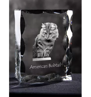 Amerikanisch Bobtail - Kristall mit Katzenbild, Glasstatuette mit Bild, einzigartiger Bilderrahmen der Marke Art-Dog