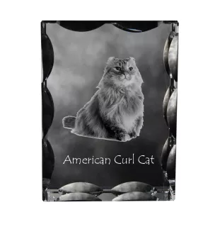 American Curl Cat - crystal with a cat picture, glass statuette with a picture, unique frame with a picture from Art-Dog brand