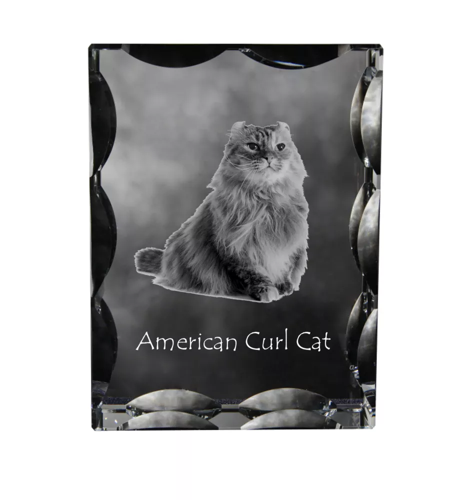 American Curl Katze - Kristall mit Katzenbild, Glasstatuette mit Bild, einzigartiger Bilderrahmen der Marke Art-Dog