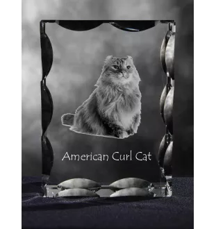 American Curl Katze - Kristall mit Katzenbild, Glasstatuette mit Bild, einzigartiger Bilderrahmen der Marke Art-Dog
