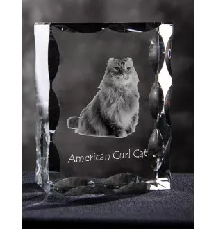 American Curl Cat - crystal with a cat picture, glass statuette with a picture, unique frame with a picture from Art-Dog brand