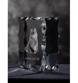 American Curl Cat - crystal with a cat picture, glass statuette with a picture, unique frame with a picture from Art-Dog brand