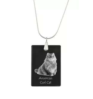 Chat à boucles américaines - Crystal pendant with cat, silver necklace with photo, personalised pendant by Art-Dog brand
