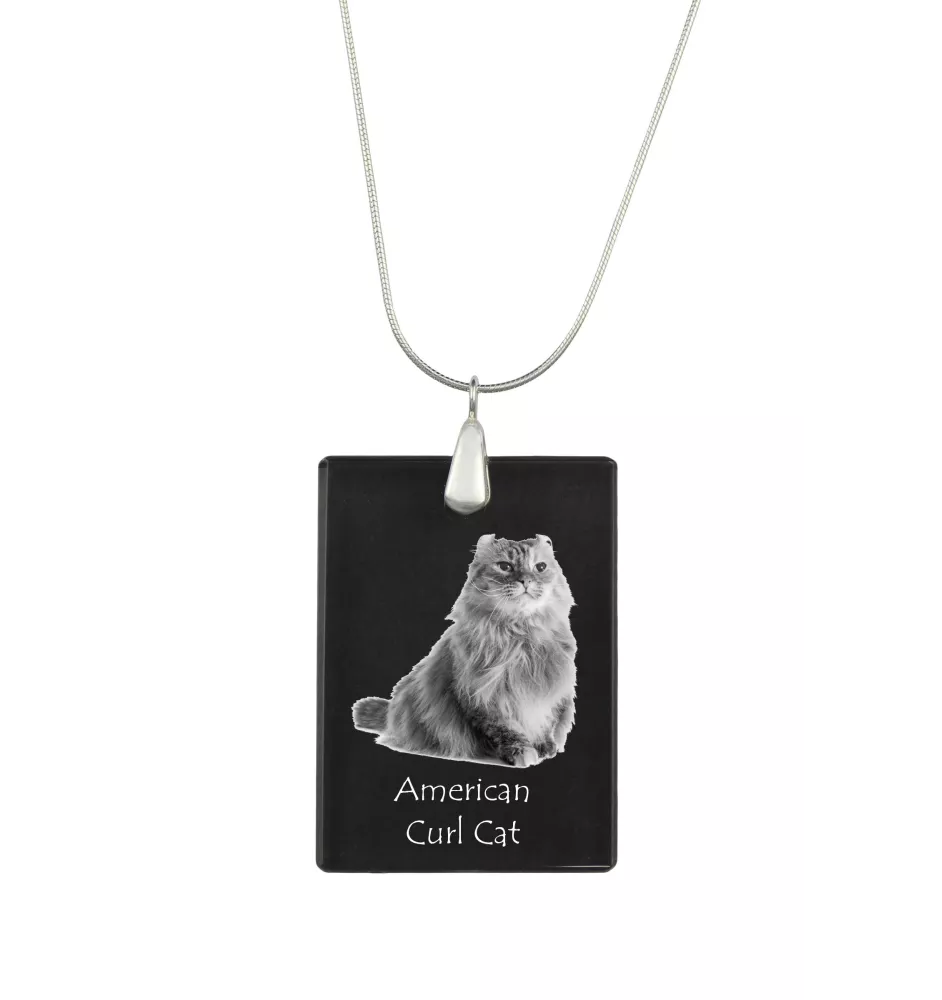 American Curl Cat - Crystal pendant with cat, silver necklace with photo, personalised pendant by Art-Dog brand