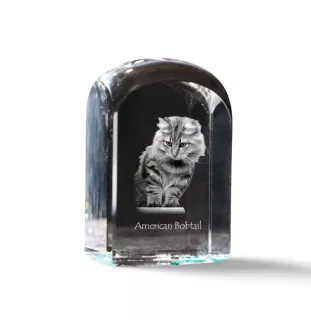 Bobtail américain - un cube en cristal avec une photo, une photo de chat dans le cristal, un presse-papiers cubique de la marque Art-Dog