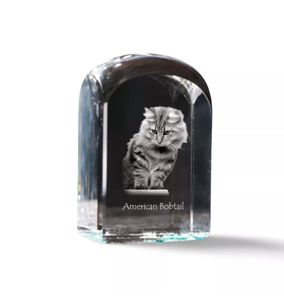 Bobtail américain - un cube en cristal avec une photo, une photo de chat dans le cristal, un presse-papiers cubique de la marque Art-Dog