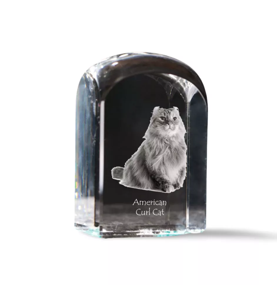 Chat à boucles américaines - un cube en cristal avec une photo, une photo de chat dans le cristal, un presse-papiers cubique de la marque Art-Dog
