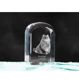 American Curl Katze - Kristallwürfel mit Bild, Katzenbild im Kristall, sechseckiger Papierclip von der Marke Art-Dog