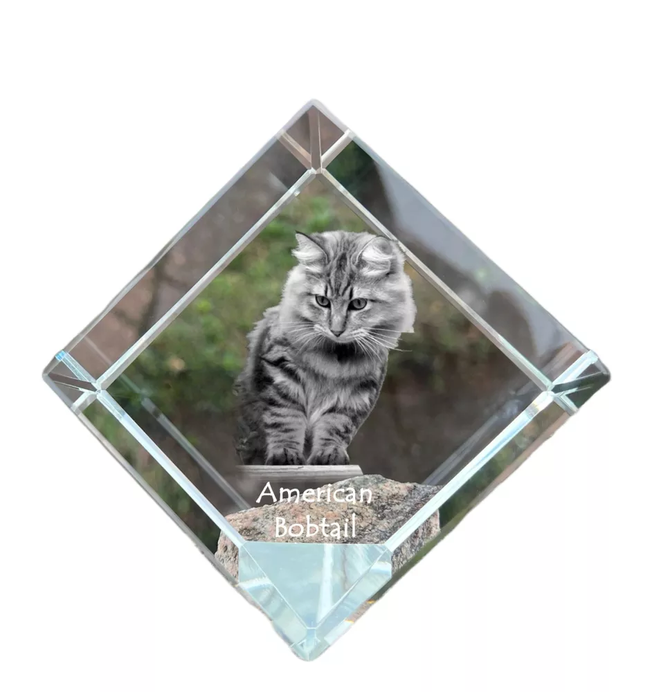 American Bobtail - crystal cube with a picture of a cat, crystal with a picture of a horse, cubic paperweight by Art-Dog brand