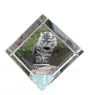 American Bobtail - crystal cube with a picture of a cat, crystal with a picture of a horse, cubic paperweight by Art-Dog brand