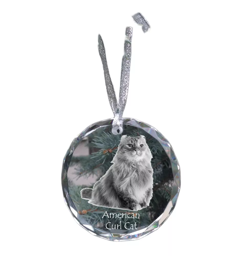 Chat à boucles américaines - boule de Noël en cristal avec une photo, photo d'un chat dans le cristal, décoration personnalisée pour sapin de Noël de la marque Art-Dog