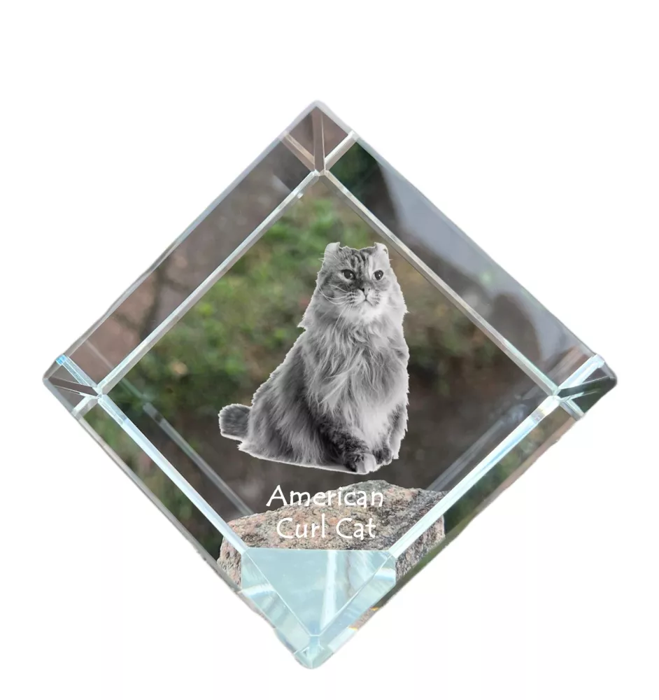 American Curl Cat - crystal cube with a picture of a cat, crystal with a picture of a horse, cubic paperweight by Art-Dog brand