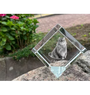 American Curl Katze - Kristallwürfel mit Katzenbild, Pferdebild im Kristall, sechseckiger Papierclip von der Marke Art-Dog