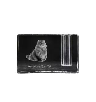 American Curl Cat - Pen stand, crystal organiser with cat photo, unique desk decoration by Art-Dog brand