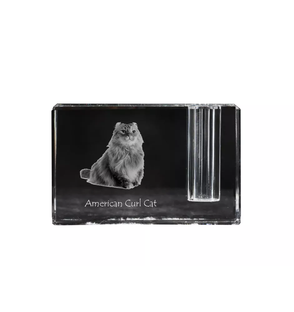 American Curl Cat - Pen stand, crystal organiser with cat photo, unique desk decoration by Art-Dog brand