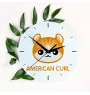 American Curl - horloge MDF avec graphisme et logo de la marque Art-Dog