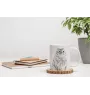 American Curl - cup with a cat, cute cup with graphics, a gift with your photo from the Art-Dog brand