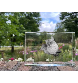 Balinese left - crystal with a picture of a cat, photo in glass, modern exhibition of Art-Dog brand photo