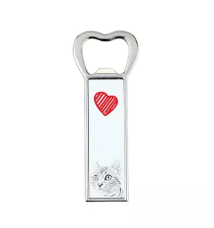 American Shorthair - bottle opener with a cat, personalized fridge opener, unique gift for men by Art-Dog brand