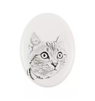 Américain à poil court - une plaque commémorative avec une photo de chat, une plaque funéraire avec une impression, une plaque ovale personnalisée de la marque Art-Dog