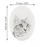 American Shorthair - commemorative plaque with a cat photo, tombstone with a print, personalized oval plaque from the Art-Dog brand