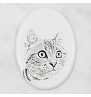 American Shorthair - commemorative plaque with a cat photo, tombstone with a print, personalized oval plaque from the Art-Dog brand