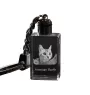 American Shorthair - Crystal pendant with cat photo, illuminated pendant, unique gift by Art-Dog brand