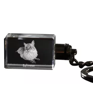 Balinese - Crystal pendant with cat photo, illuminated pendant, unique gift by Art-Dog brand